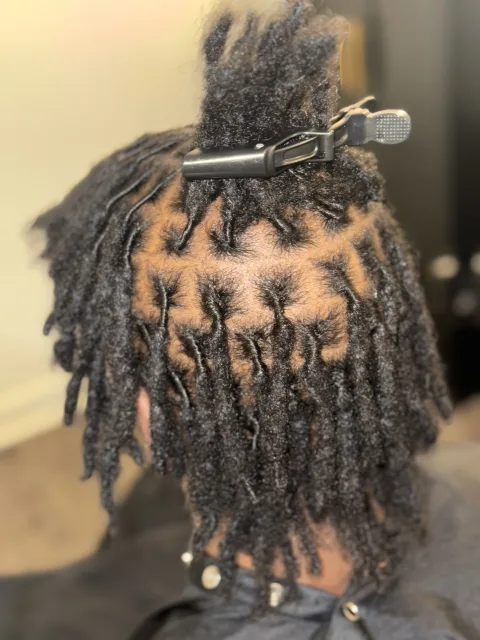Back view of short locs with clean square sections at September’s Locs