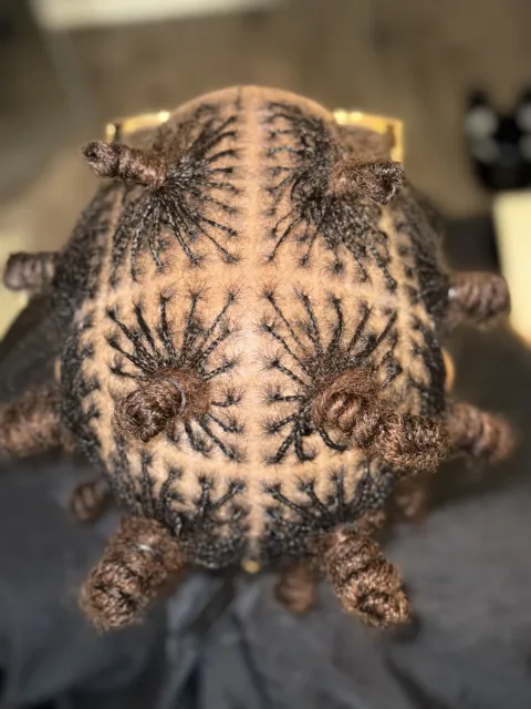 Top view of locs arranged in small knots with radiating parting at September’s Locs