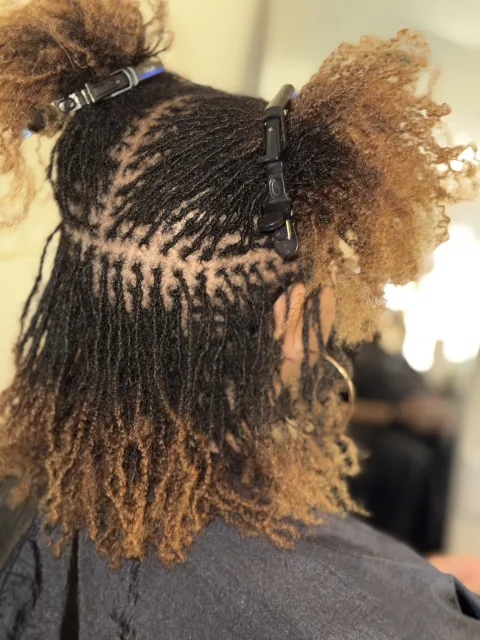 Fine locs with golden ends and carefully sectioned roots at September’s Locs
