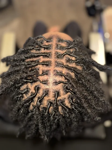 Top view of loc roots with a defined center part at September’s Locs