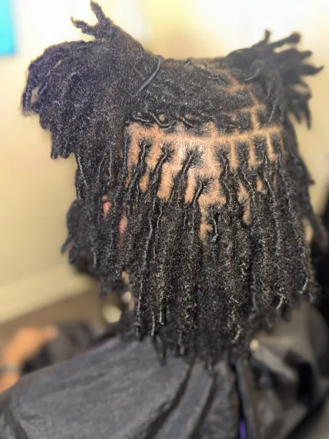 Back view of short locs and freshly defined sections at September’s Locs